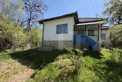 Casă cu 3 camere cu Teren 5000 Mp în Petrindu - 1
