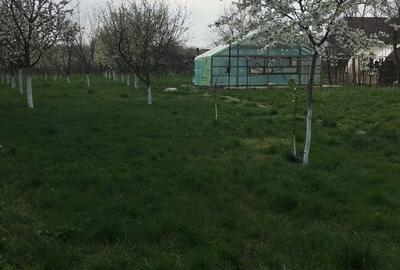 Casă cu 4 camere în Central - 2