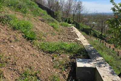 Casă cu 5 camere cu Teren 600 Mp în Podgoria - 20