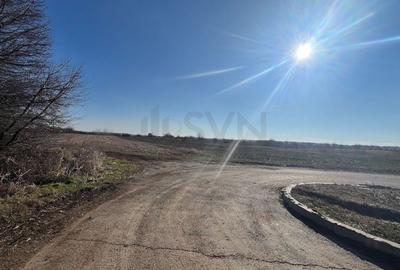 Teren Construcții intravilan de 15200 mp, în Corbeanca - 2