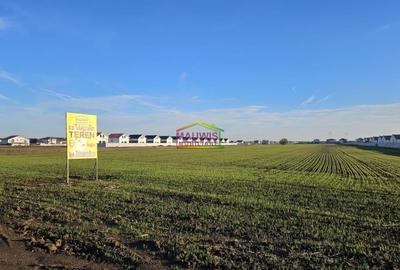 Teren intravilan în Berceni