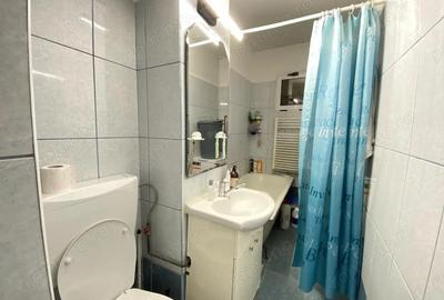Apartament cu 4 camere semidecomandat, mobilat în Dacia - 4