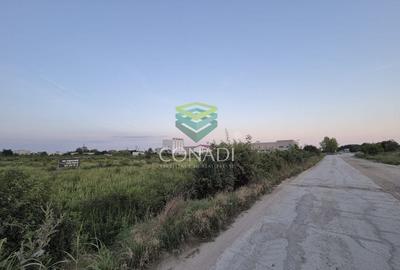 Teren  - pretabil pentru industrial - Centura -  Clinceni - 3