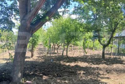 Casă cu 2 camere cu Teren 799 Mp în Central - 12