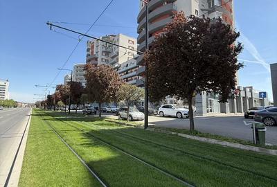 Apartament cu 2 camere semidecomandat în Calea Aradului - 6