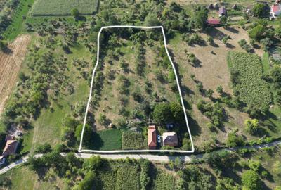 Casă cu 2 camere în Bârseștii de Sus - 4