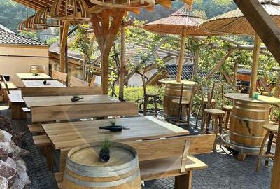 Pensiune cu 15 unita?i de cazare in Media? Pensiune cu 15 unita?i de cazare in Media? - 6