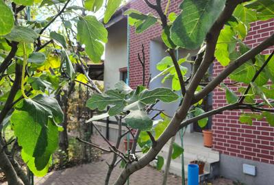 OMNIA-Proprietati alese! Haide sa probam o casa, garantez ca e frumoasa! OMNIA-Proprietati alese! Haide sa probam o casa, garantez ca e frumoasa! - 7