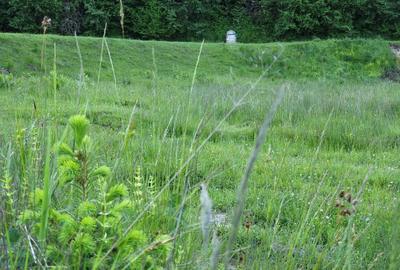 Teren de 12.000 mp la Vama Buzăului – Locație de Vis cu PUZ Aprobat - 8