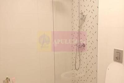 Apartament cu 3 camere decomandat în Herăstrău - 7