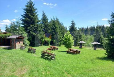 Casă cu 7 camere cu Teren 6060 Mp în Central - 2