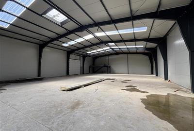 Spațiu industrial, de 1,380 mp, în Central - 12