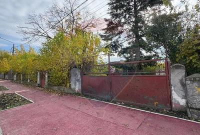 Teren de vanzare in Valu lui Traian, Calea Dobrogei - 8