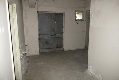 Spațiu comercial, de 630 mp, în Iancului - 53