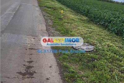 Teren Moara Vlasiei 65000 mp Industrial utilitati apropiere Nod A3