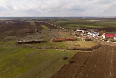 Spațiu comercial, de 3,000 mp, în Mișca - 16