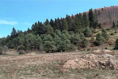 Teren  cu ape curgatoare, in zona de poveste, Zarnesti - 6