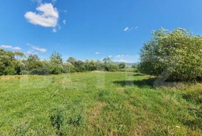 Teren intravilan, 31 de ari in Livezile - 3