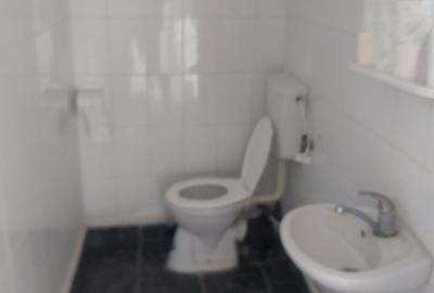 Vila de inchiriat ultracentral Focsani - 7