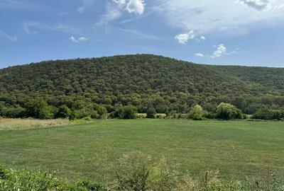 Spațiu comercial, în Slava Cercheză - 2