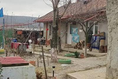 Casă în Mironeasa - 1
