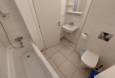 Apartament cu 2 camere decomandat, mobilat în Timișoara - 7