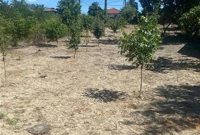 Teren Construcții intravilan de 933 mp, în Olari - 3