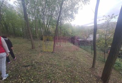 Casa batraneasca cu teren (4.910 mp) la Alunis - 3