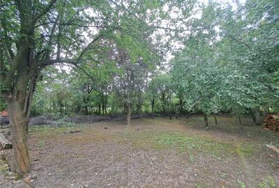 RECO Casa la Tria - 7