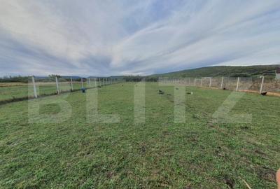 Casă cu 4 camere cu Teren 1500 Mp în Central