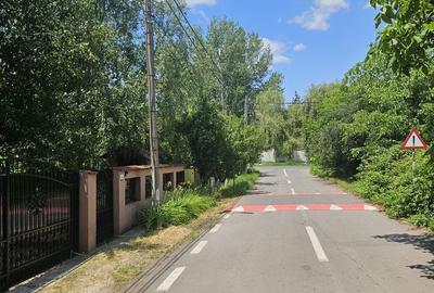 Spațiu comercial, în Bolintin-Deal - 12