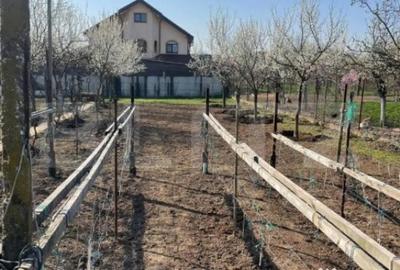 Teren de 1850 mp, în Central