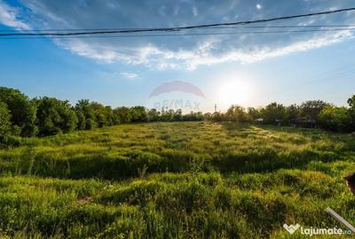 Teren de 4734 mp, în Ciocești - 8