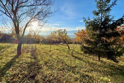 Casa caramida 2012, mutare imediata 800mp posibilitate credit! - 5