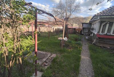 Casă cu 2 camere în Țărăncuța - 2