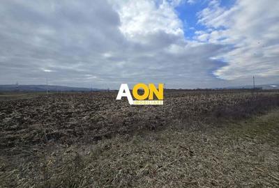 Teren Intravilan 10.000MP Zona Partos Teren Intravilan 10.000MP Zona Partos - 4