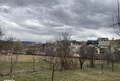 Teren de 1500 mp, în Central