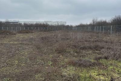 Spațiu comercial, în Dragomirești-Vale - 8