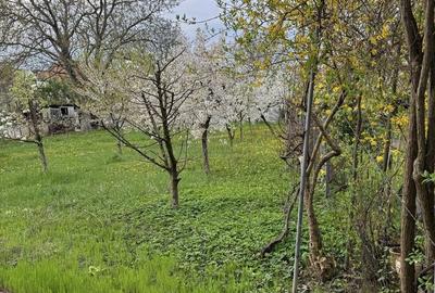 Casă cu 4 camere în Sub Arini - 2