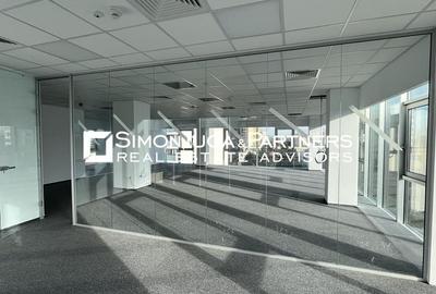 Birouri de inchiriat Brancusi - 1