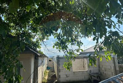 Teren intravilan 3.765 mp cu casa - Bodesti de Jos - 5
