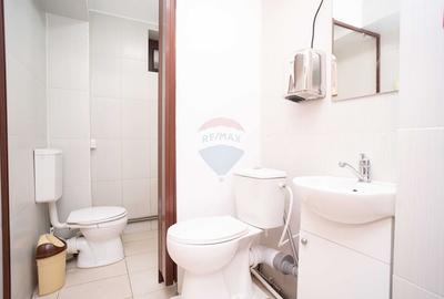 SPATIU COMERCIAL - Zona Tudor Vladimirescu - 9