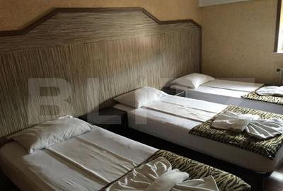 Pensiune de inchiriat, 450 mp, zona Lugojului - 3