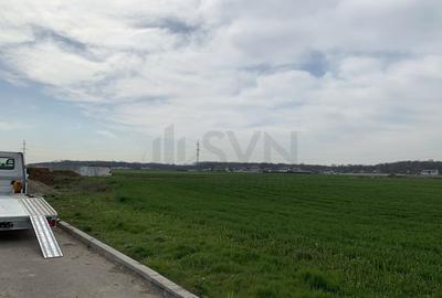 Teren Cornetu-Magurele - 24581 mp - Strada Magnoliei - Ac... Teren Cornetu-Magurele - 24581 mp - Strada Magnoliei - Ac... - 3