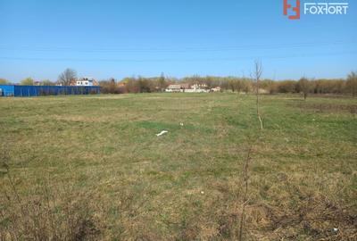 Teren Construcții intravilan de 8341 mp, în Plopi