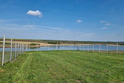 Teren de 600 mp, în Gostilele - 6