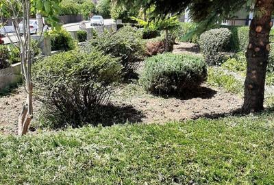 Casă cu 6 camere în Costinești - 4