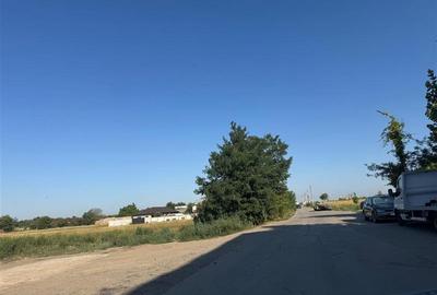 TEREN PRETABIL HALE SAU FABRICA - 3