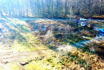 Teren intravilan, 2 fronturi, Drumul Padurea Pustnicu 65 - Greenfield - 25