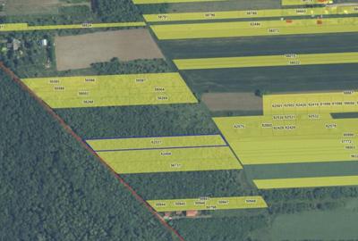 `Teren cu dubla deschidere, langa padure, Snagov - Strada Pa - 8